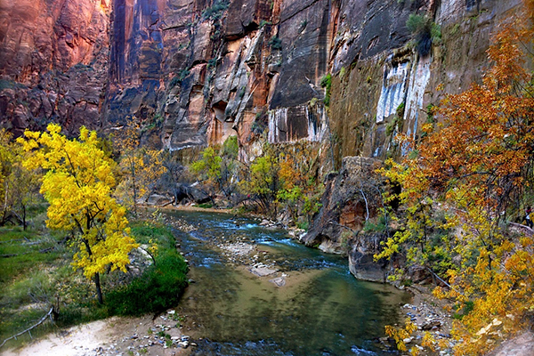 Zion National Park is a rainbow of colors.