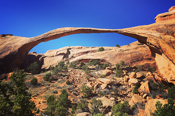 Amazing formations in rock.