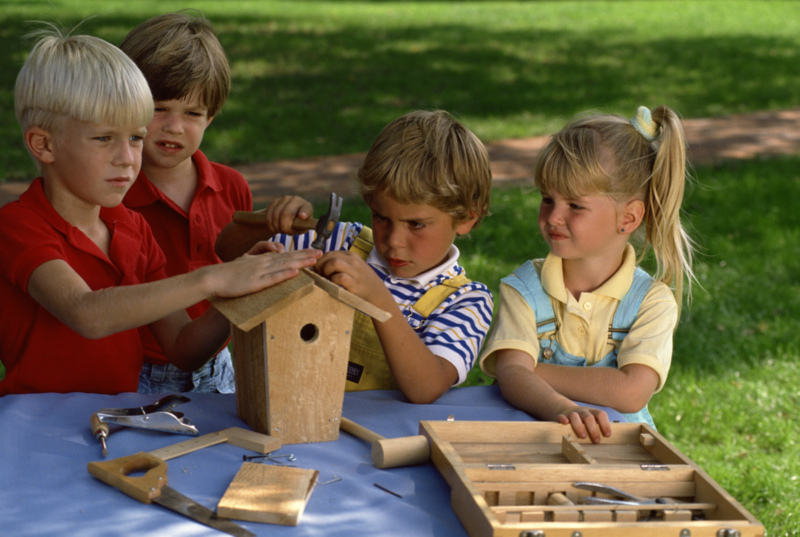 youngcampers
