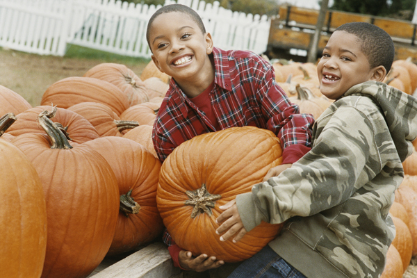 find a pumpkin patch near you sm