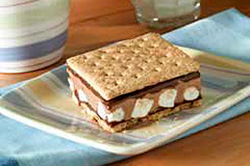 S'more Ice Cream Sandwiches