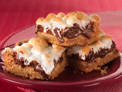 Warm Toasted Marshmallow S'mores Bars