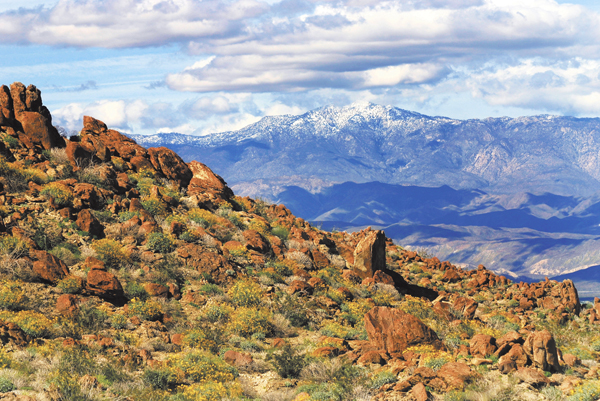 Take a family trip to Borrego Springs in San Diego County.