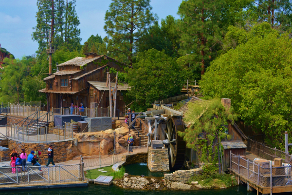 Finding Magic in a Crowded Disneyland