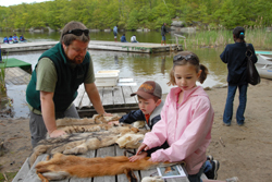 NYStateParks