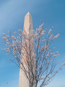 Washington, DC