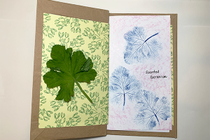 Art with Alyssa: How to Make a Nature Journal