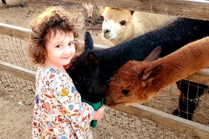 Where to Visit Farm Animals in San Diego