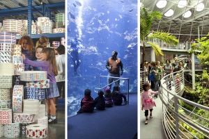 Fun Things to Do with Kids in the Bay Area