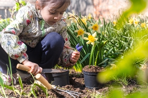 20 Ways to Celebrate Earth Day with Kids
