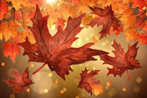 31 Days of Fall & Halloween Fun