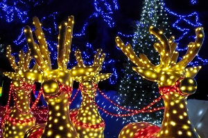 Christmas Lights Scavenger Hunt